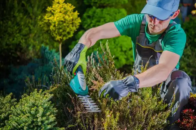landscaping services West Monroe